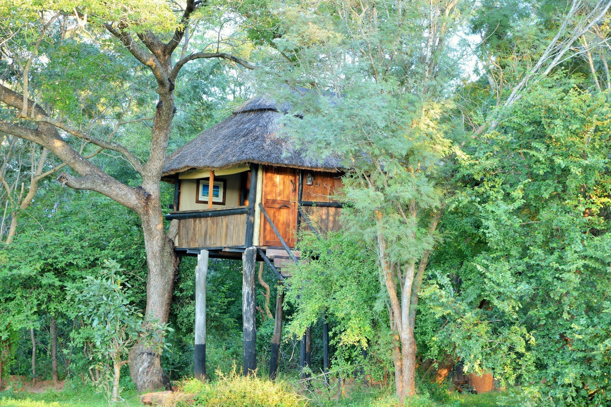 Ivory Lodge Dete Exterior photo